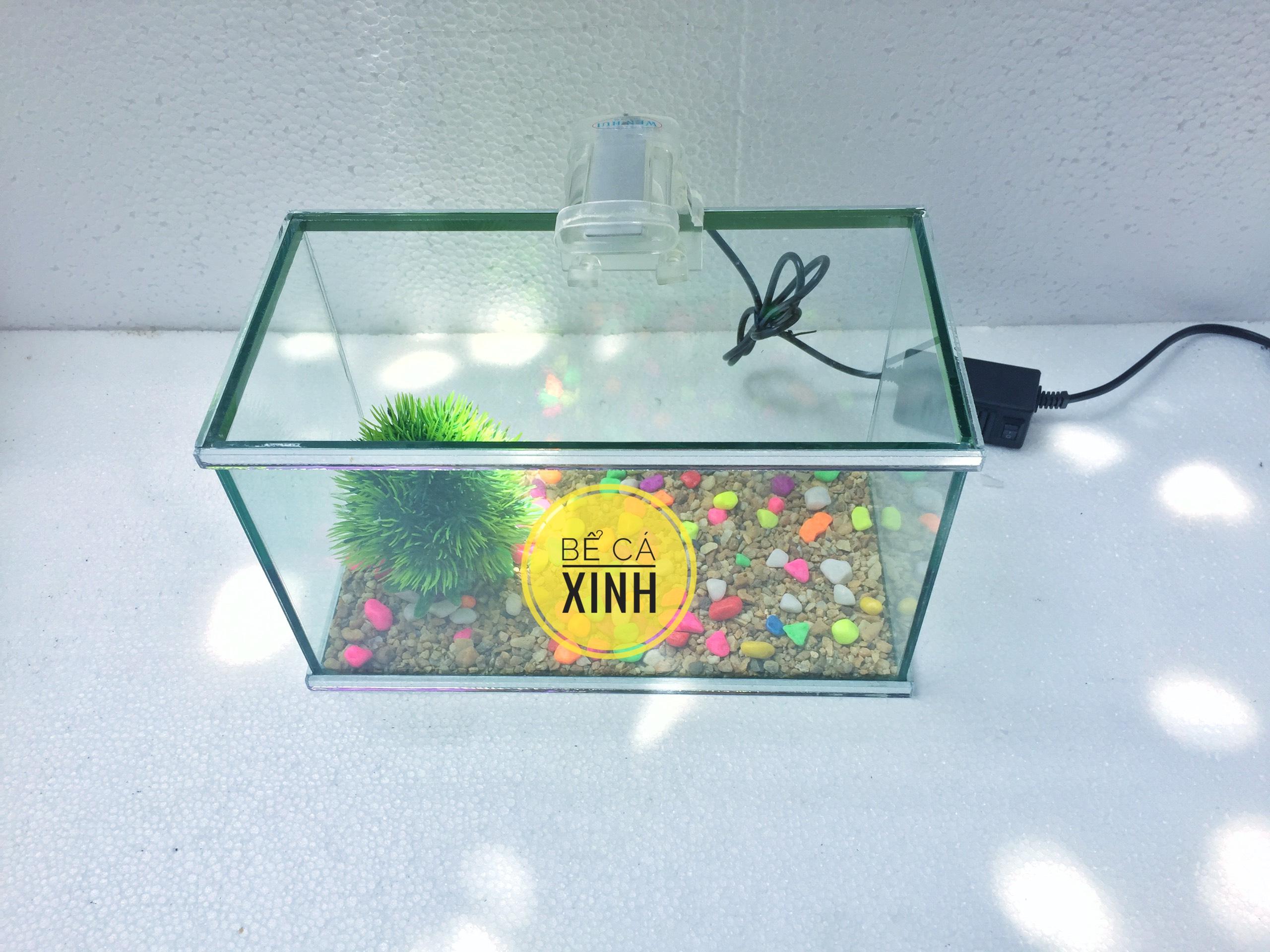 set bể cá mini 25x13x15 và đèn led mini (tặng phụ kiện)