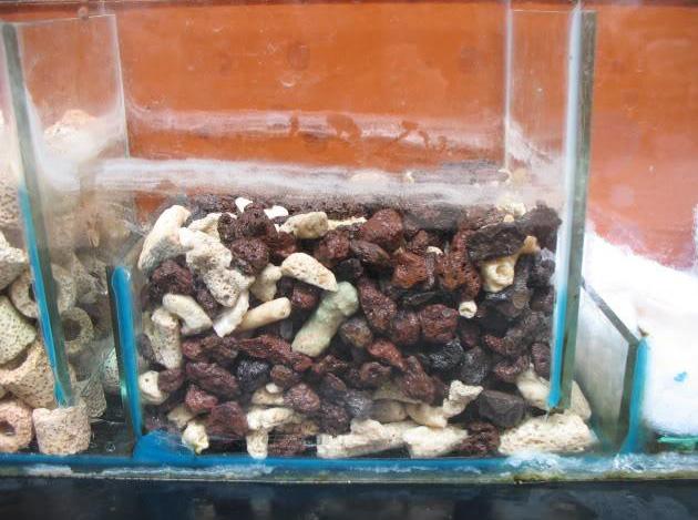 Nham thạch lọc nước dành cho bể cá cảnh - 1kg