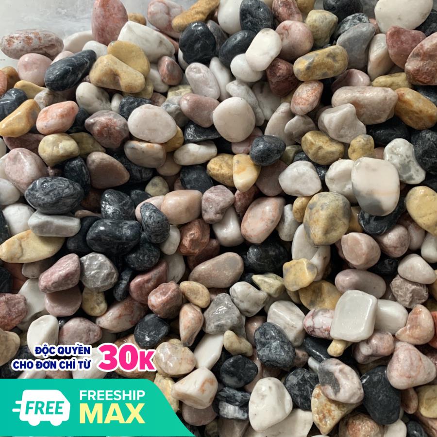 [Chọn size]1kg Sỏi Đa màu trang trí bể cá,sân vườn ,