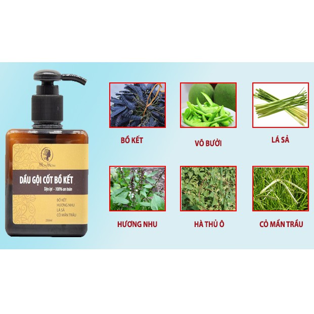 Dầu gội cốt bồ kết 250ml Wonmom