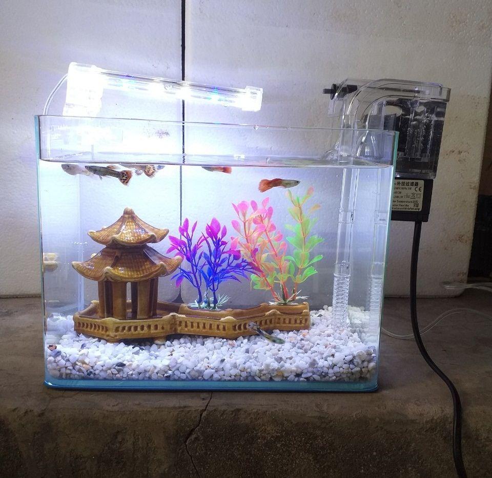 Sứ lọc bể cá - gói 200g