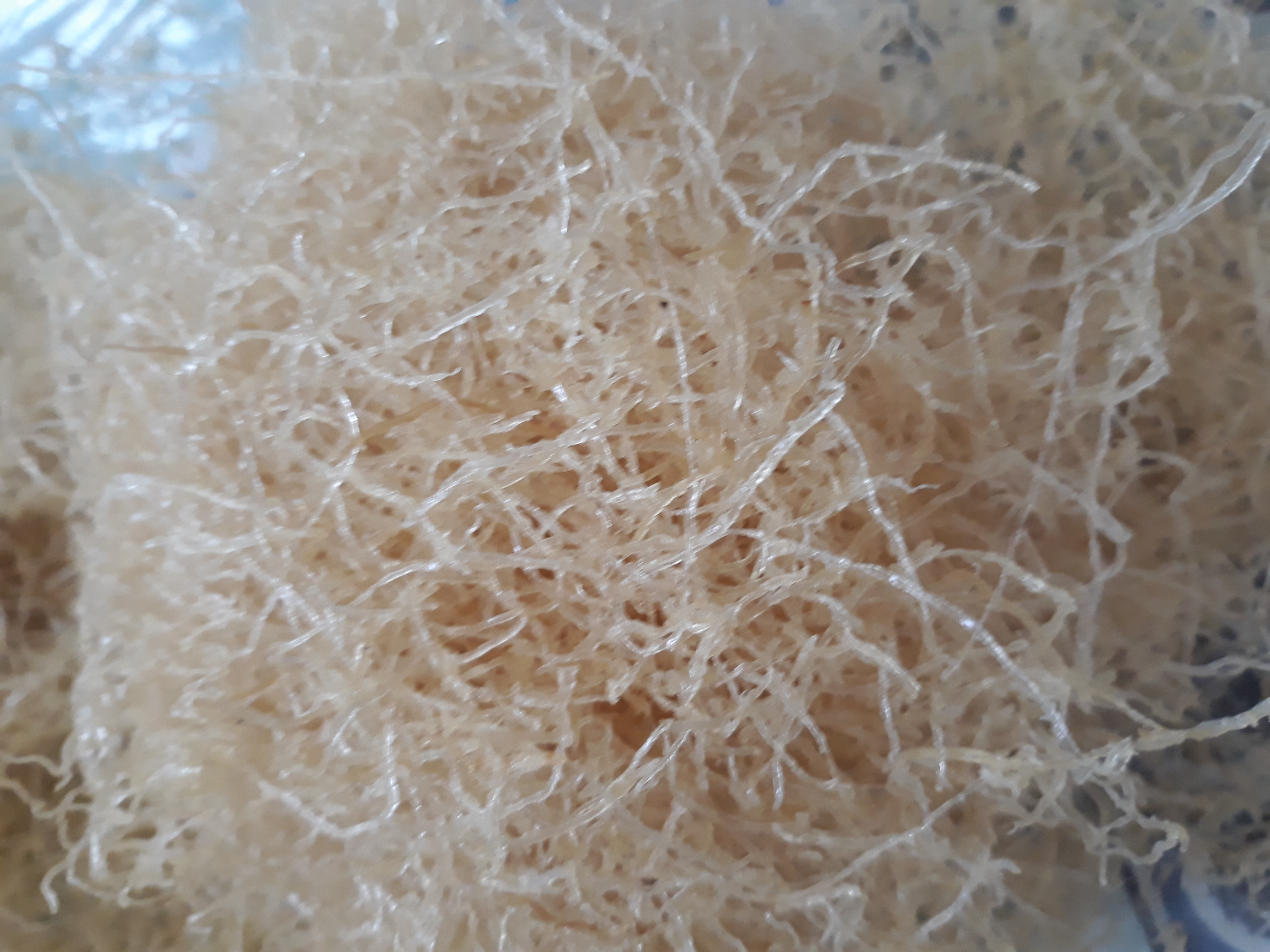 [HCM]Bì heo sấy khô 1kg