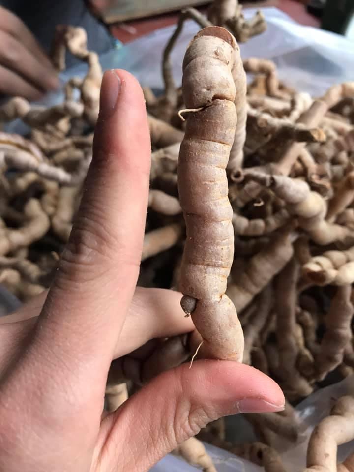 Ba Kích Tím 1KG