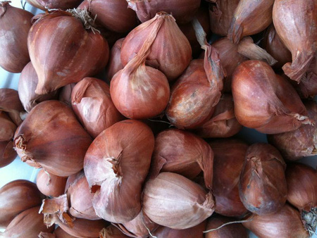 [HCM]1KG củ hành tím