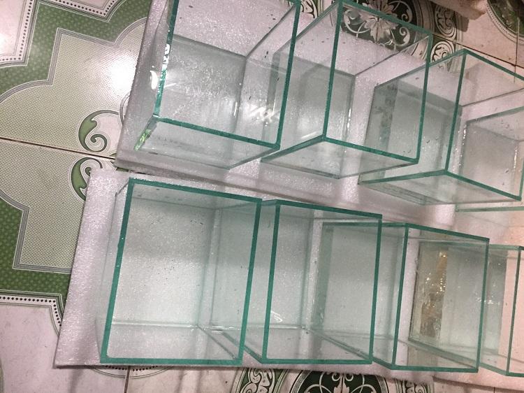Bể cá mini để bàn( tặng cây nhưa, sỏi, thức ăn)
