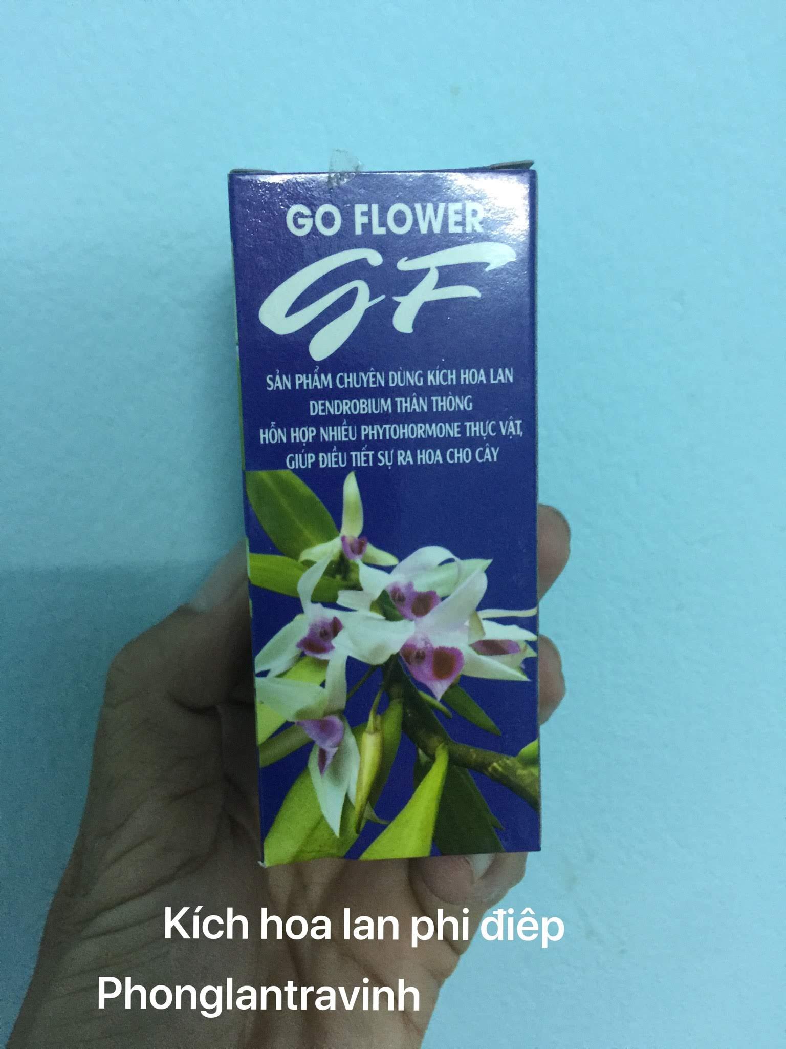 Kích hoa GF kích hoa lan phi điệp