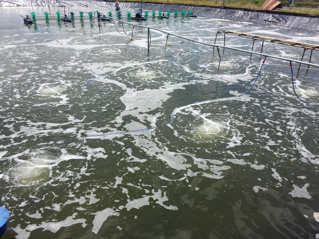 Máy thổi khí AT-50