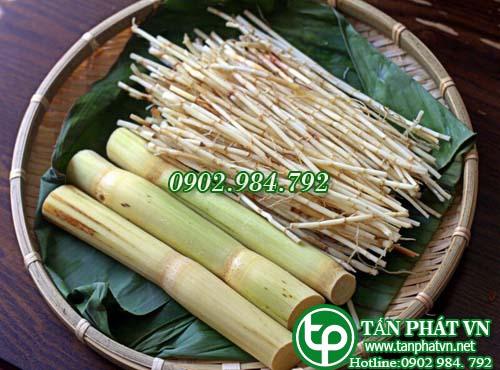 Rễ Cỏ Tranh Tươi 1kg Tấn Phát