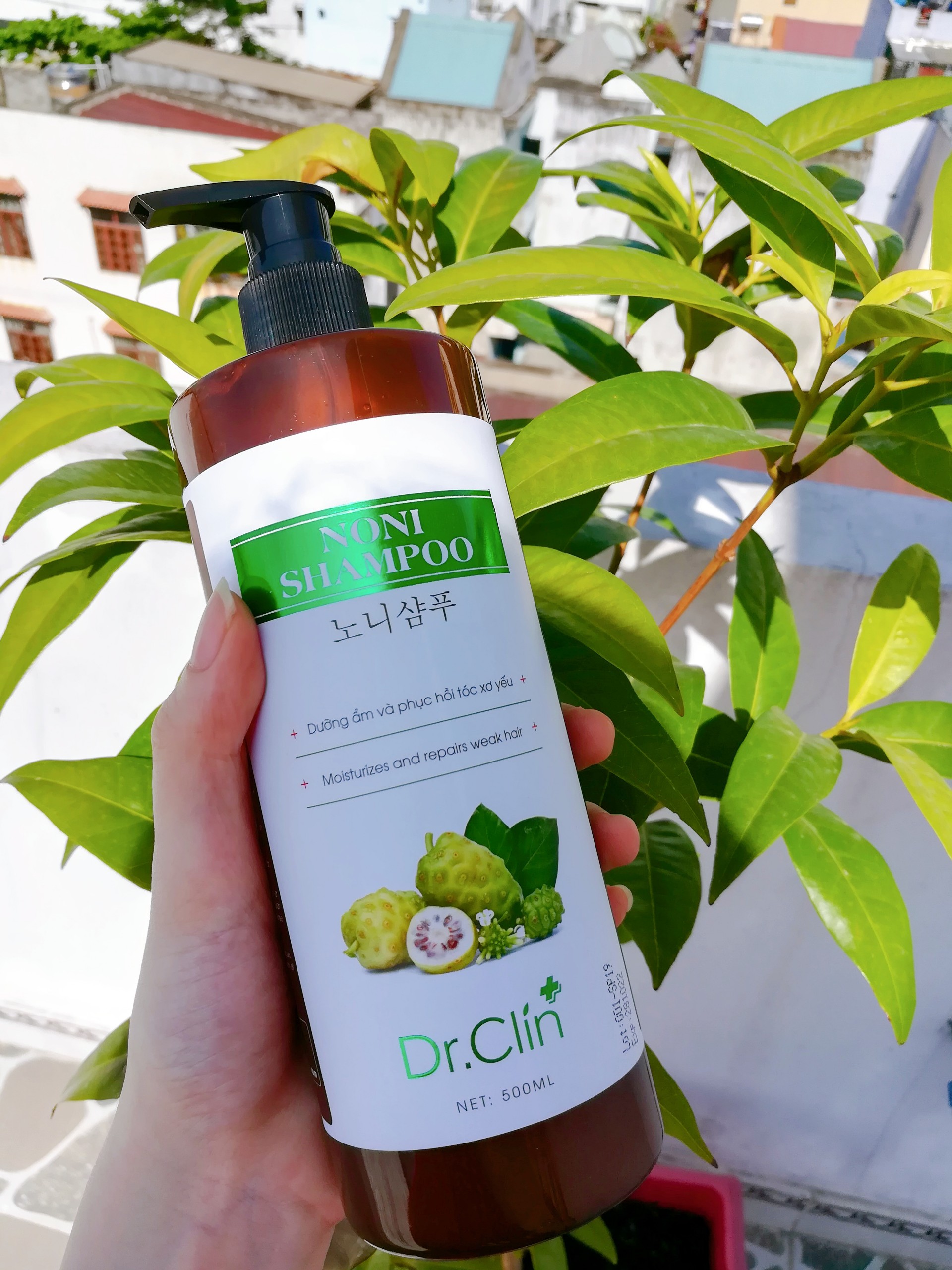 [HCM]Dầu Gội Tinh Chất Trái Nhàu Noni Shampoo 노니샴푸 (3 in 1)