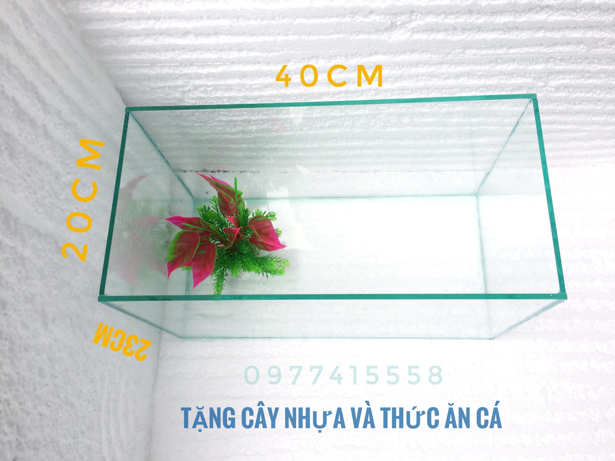 Bể cá cỡ trung 4023cm Dài Rộng Cao - bể cá để bàn trang trí nhà cửa