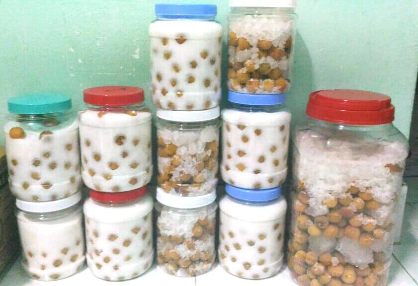 [HCM]MƠ NGÂM ĐƯỜNG HÀ NỘI