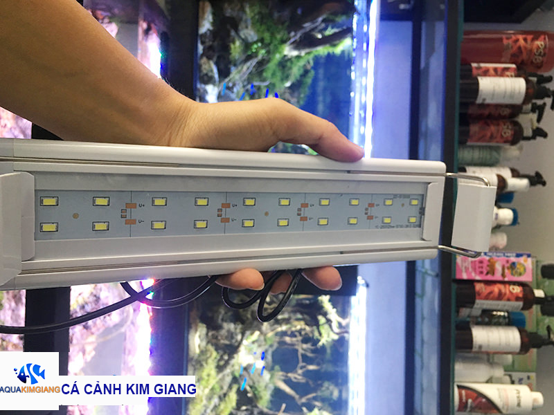 Đèn led trắng Xuanmeilong XML 30