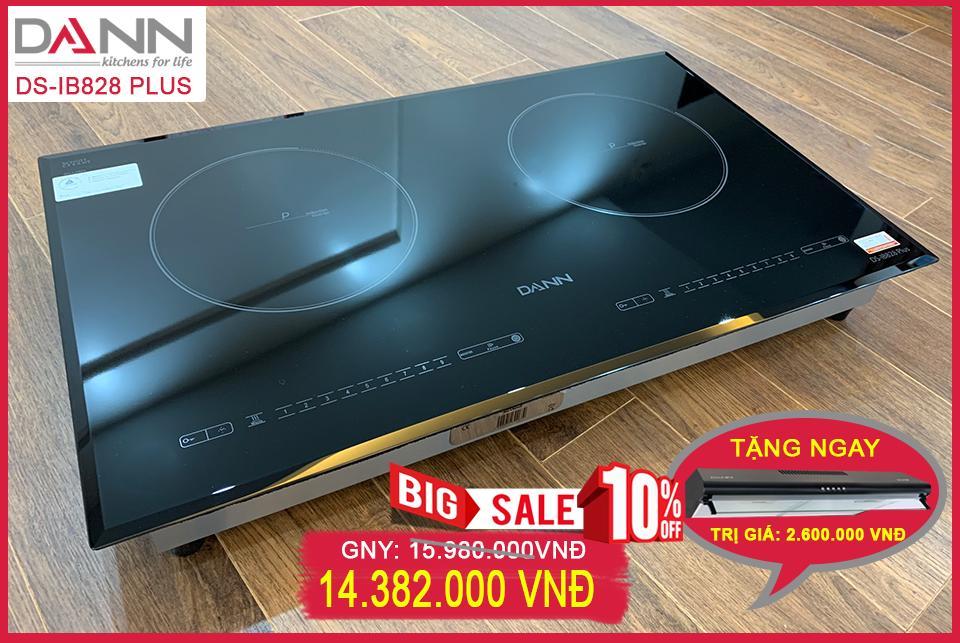 Bếp từ Dann DS-IB828 Plus