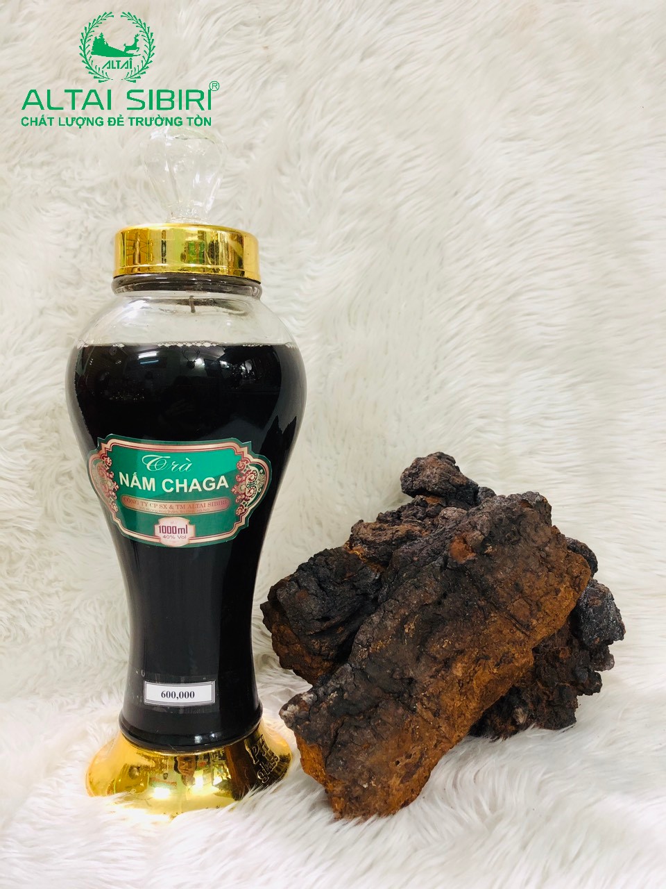 Nấm Chaga Sibiri Nga- Gói 100 gram
