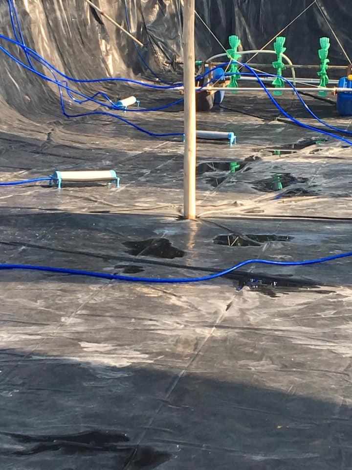COMBO 50 cặp Fi90