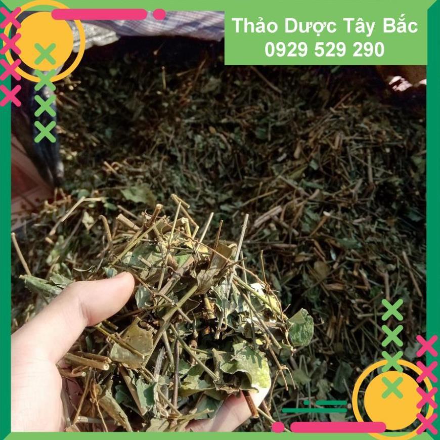 [COMBO 2KG] ✅✅  Chè Vằng , Chè Vằng Lợi Sữa ( Chè Vằng Sẻ Nghệ An )