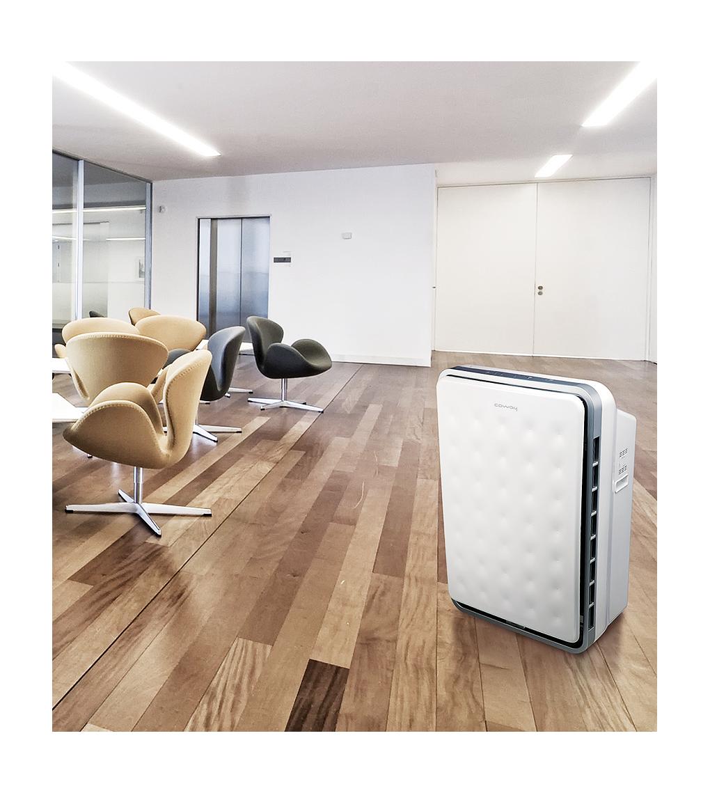 Máy lọc không khí Coway TUBA (AP-3008FH)
