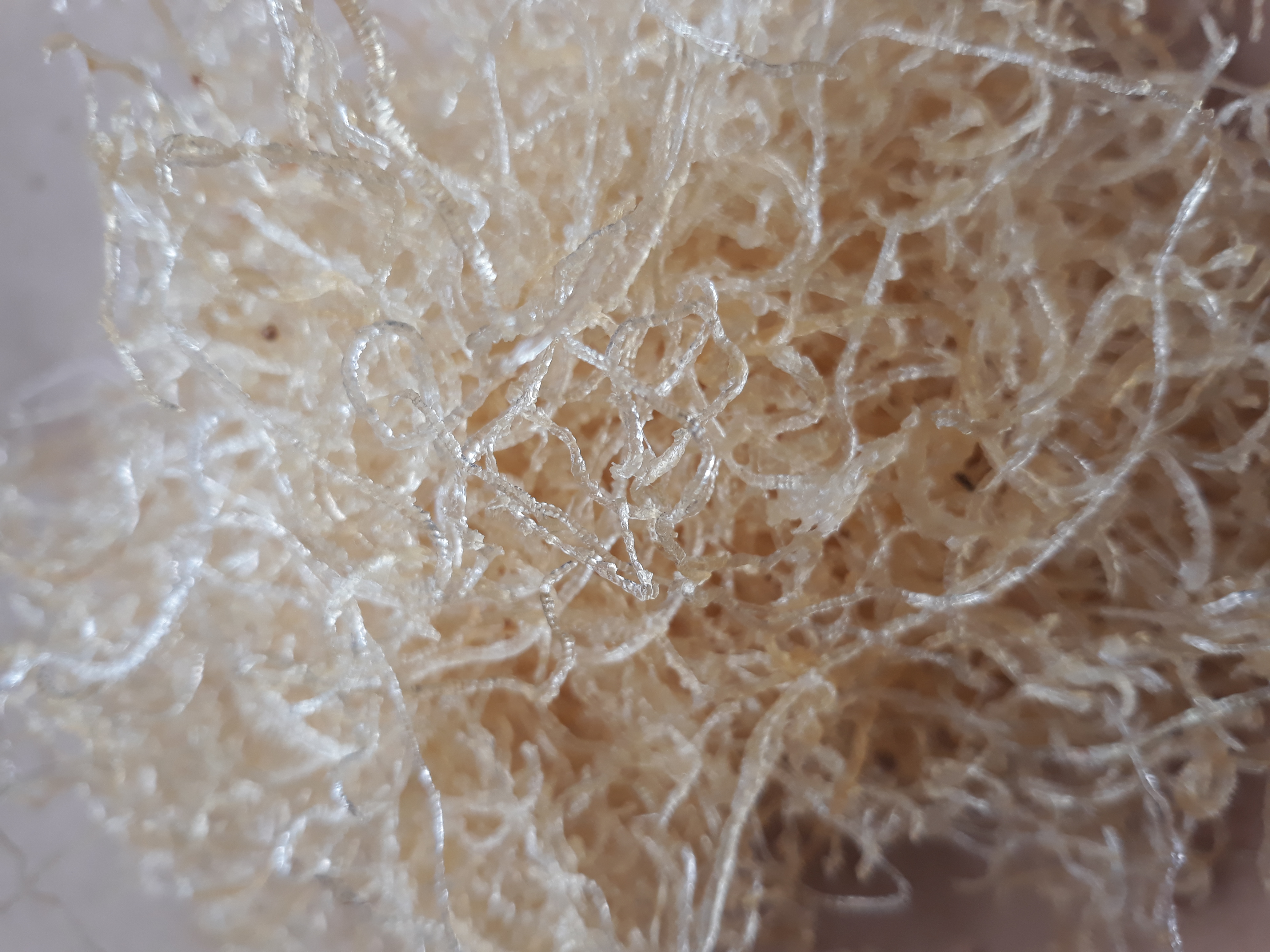 [HCM]Bì heo sấy khô 1kg