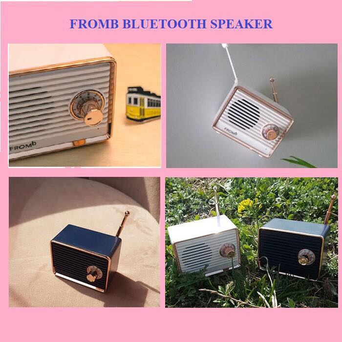 Loa bluetooth mini cao cấp Fromb Korea