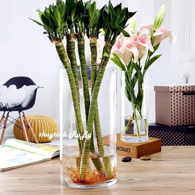 Bình Bông Lọ Hoa Thủy Tinh Trang Trí D12*30, Bình Cắm Hoa Thủy Tinh Trụ, Lọ cắm Hoa Hình Trụ, Trụ đổ đèn cầy, trụ tròn thủy tinh