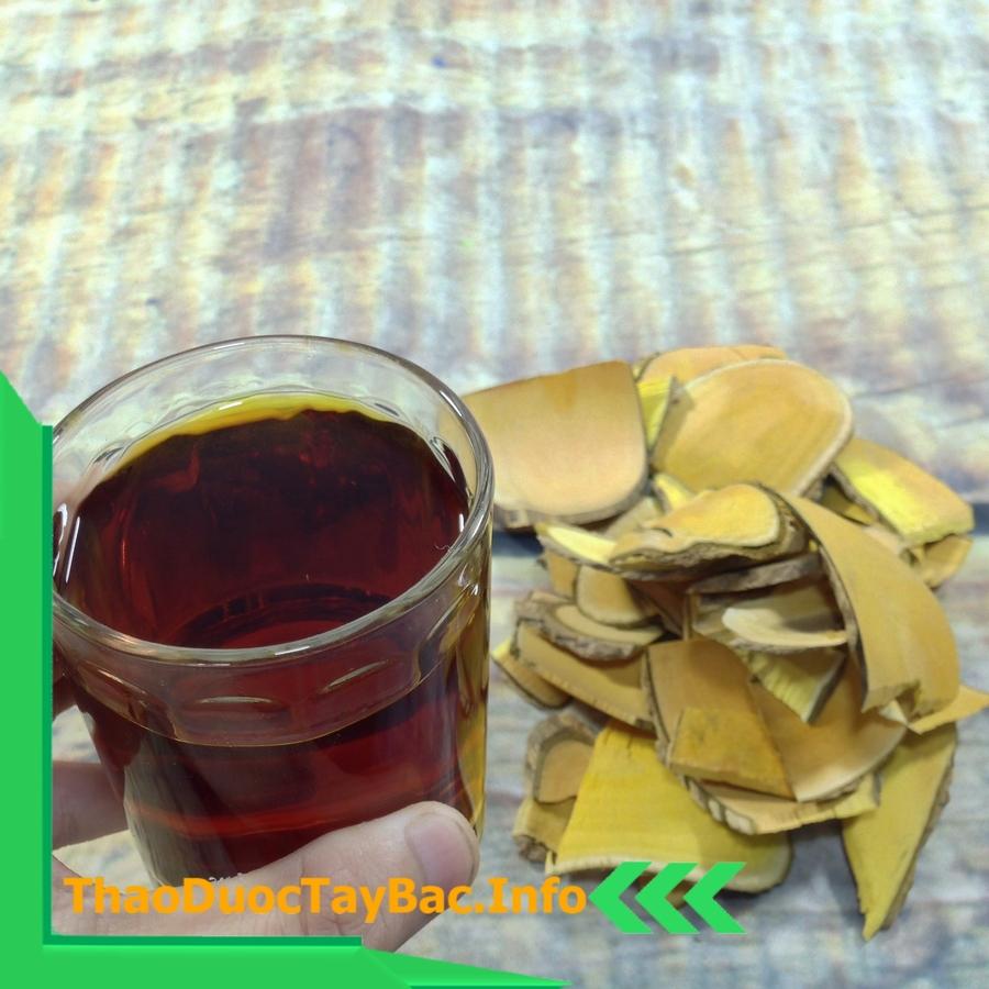 1Kg Cây Mật Gấu Ngâm Rượu