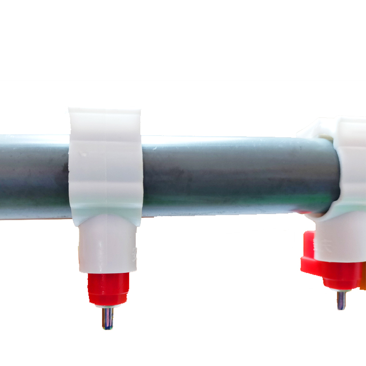 Combo 50 Núm uống nước tự động cho Gà