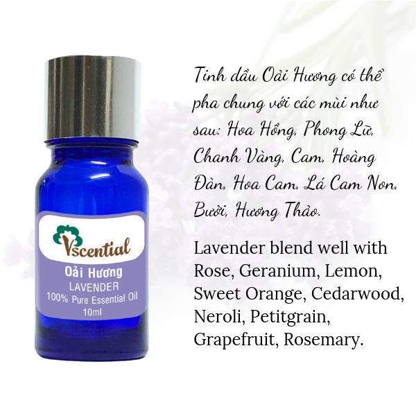 Vscential Tinh Dầu Oải Hương 10ml