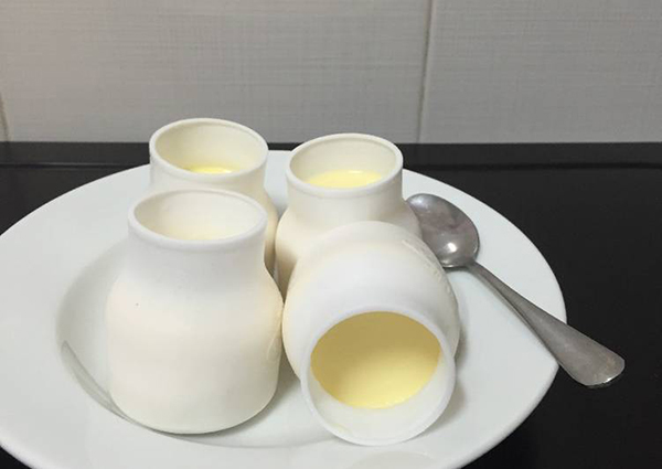 Sữa chua nhà làm