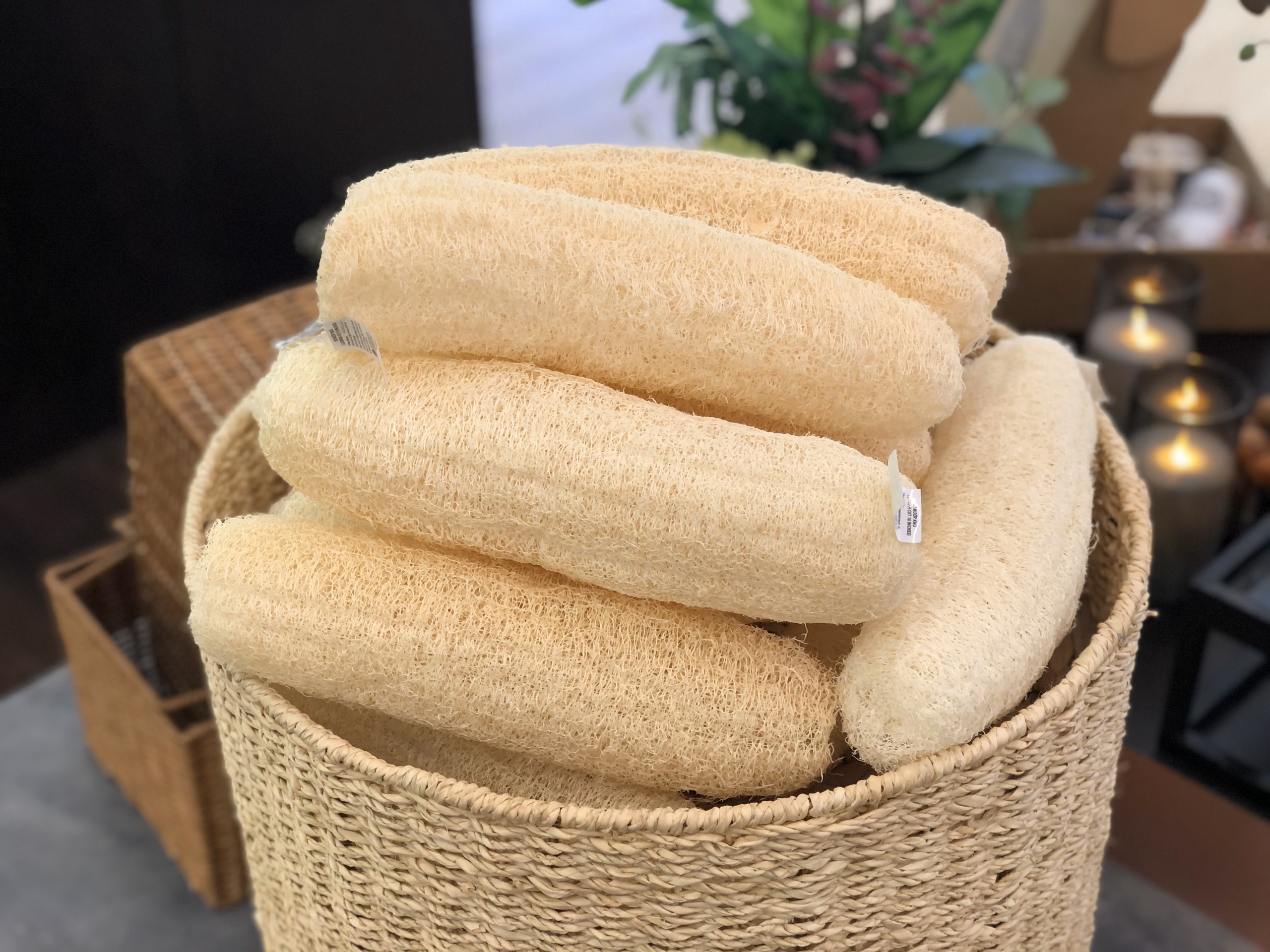 Bông Tắm Xơ Mướp khô (10 inches)