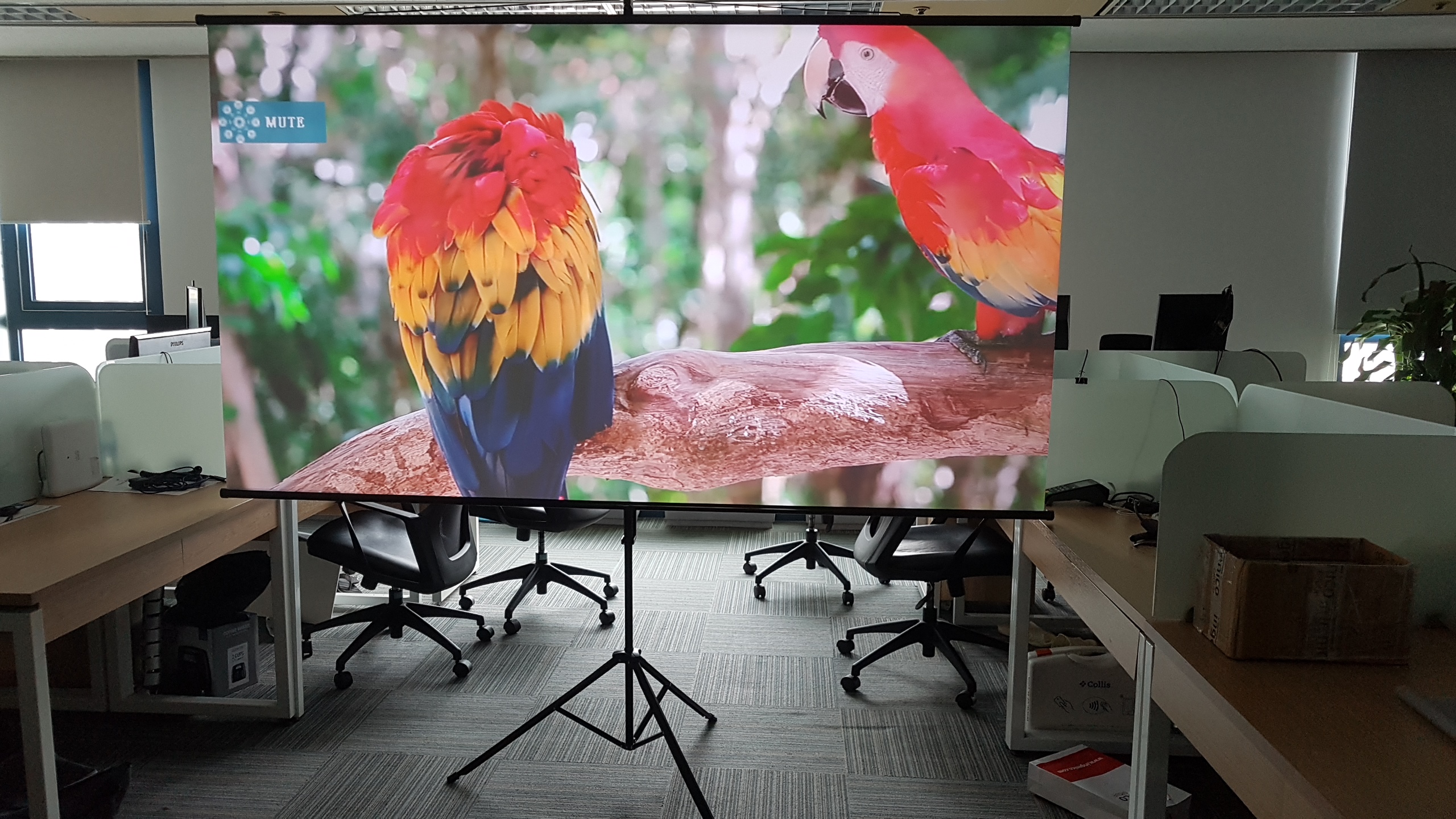 Vải Màn chiếu tương phản cao 120 inch (16:9) 2.58 x 1.60 (không kèm khung)