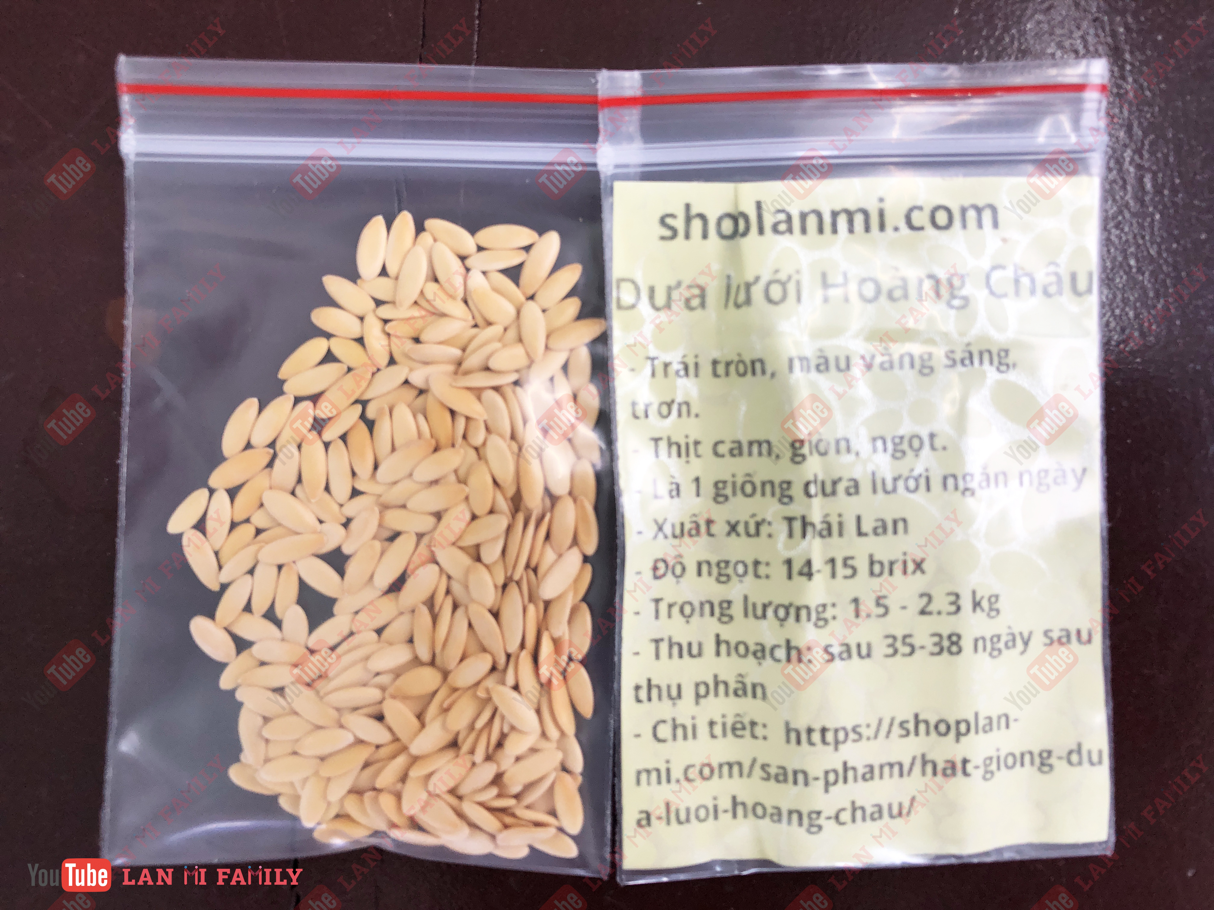 Hạt giống dưa lưới Thiên Thanh - 10 hạt