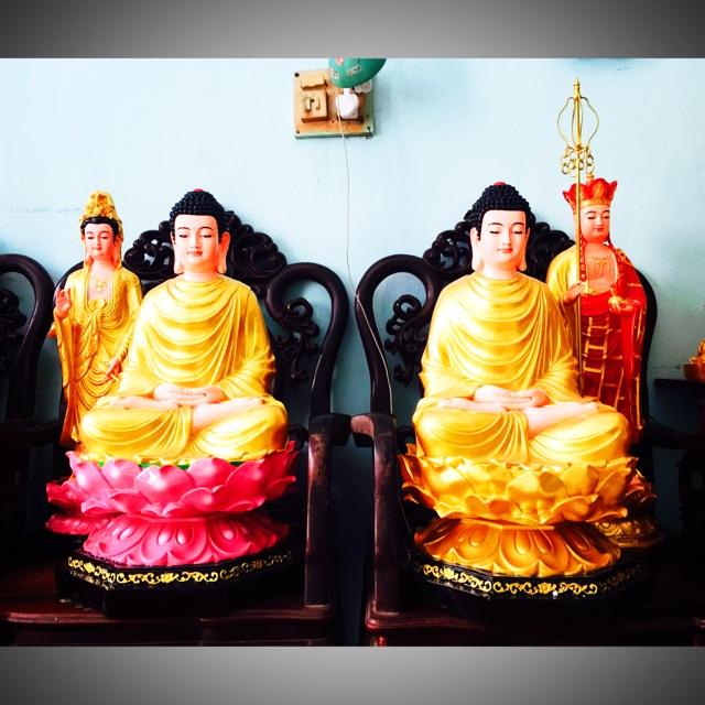 Bổn Sư Thiền sen hồng 70cm
