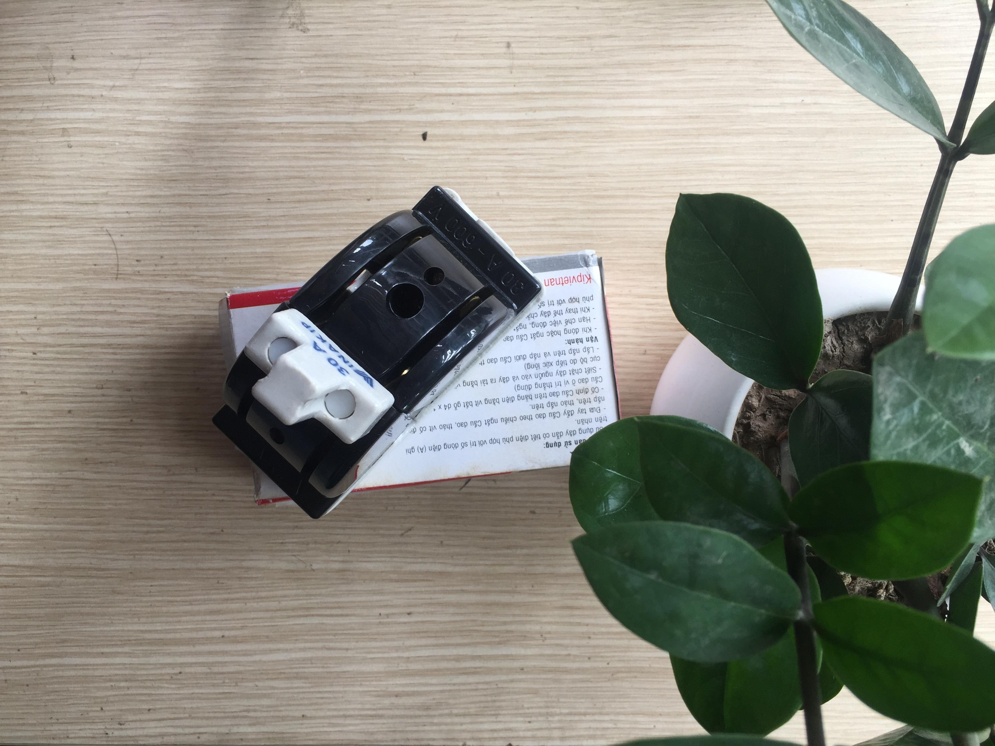 Cầu dao đảo 2 pha 30A