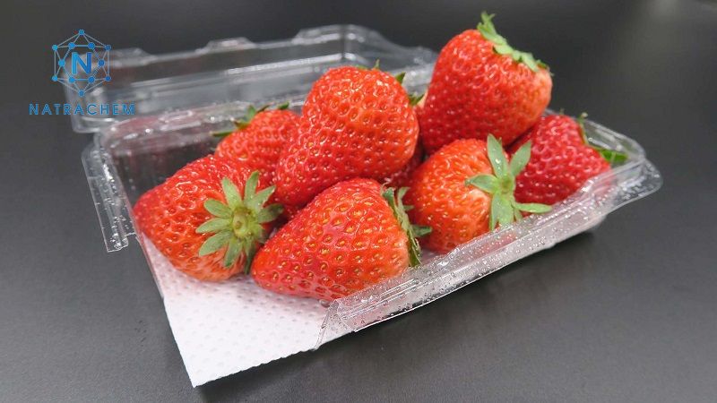 200 MIẾNG THẤM THỰC PHẨM MÀU TRẮNG (7X11CM)