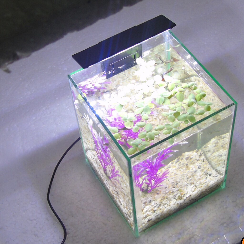 RBS Bể cá mini đèn led để bàn 15x15x20