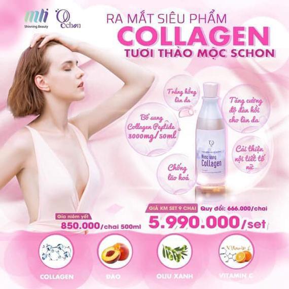 Nước uống Collagen tươi thảo mộc Schon