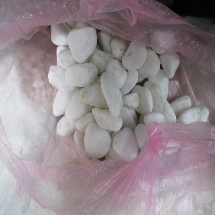 sỏi trắng lớn 1kg