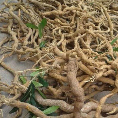 Rễ xáo tam phân 1kg (Campuchia)