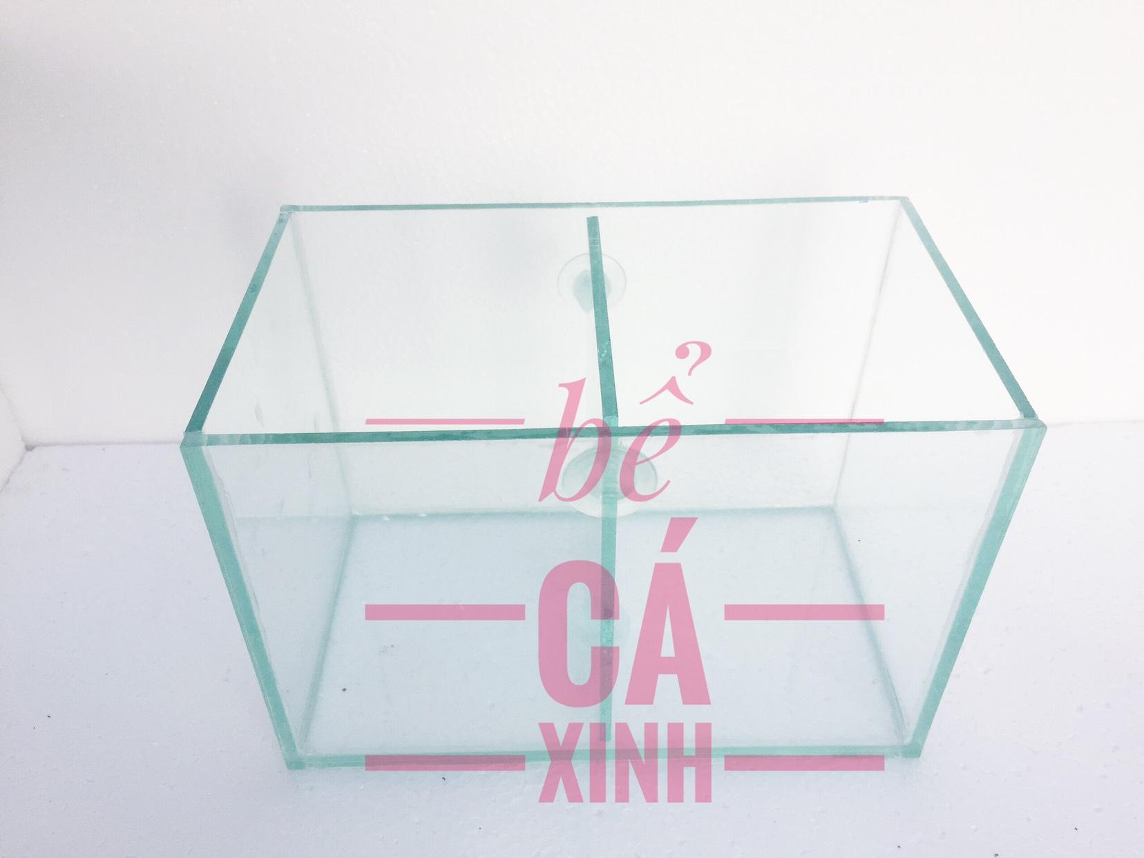 Bể cá beta 2 ngăn - bể cá cảnh mini 2 in 1 ( vách ngăn có thể tháo rời)