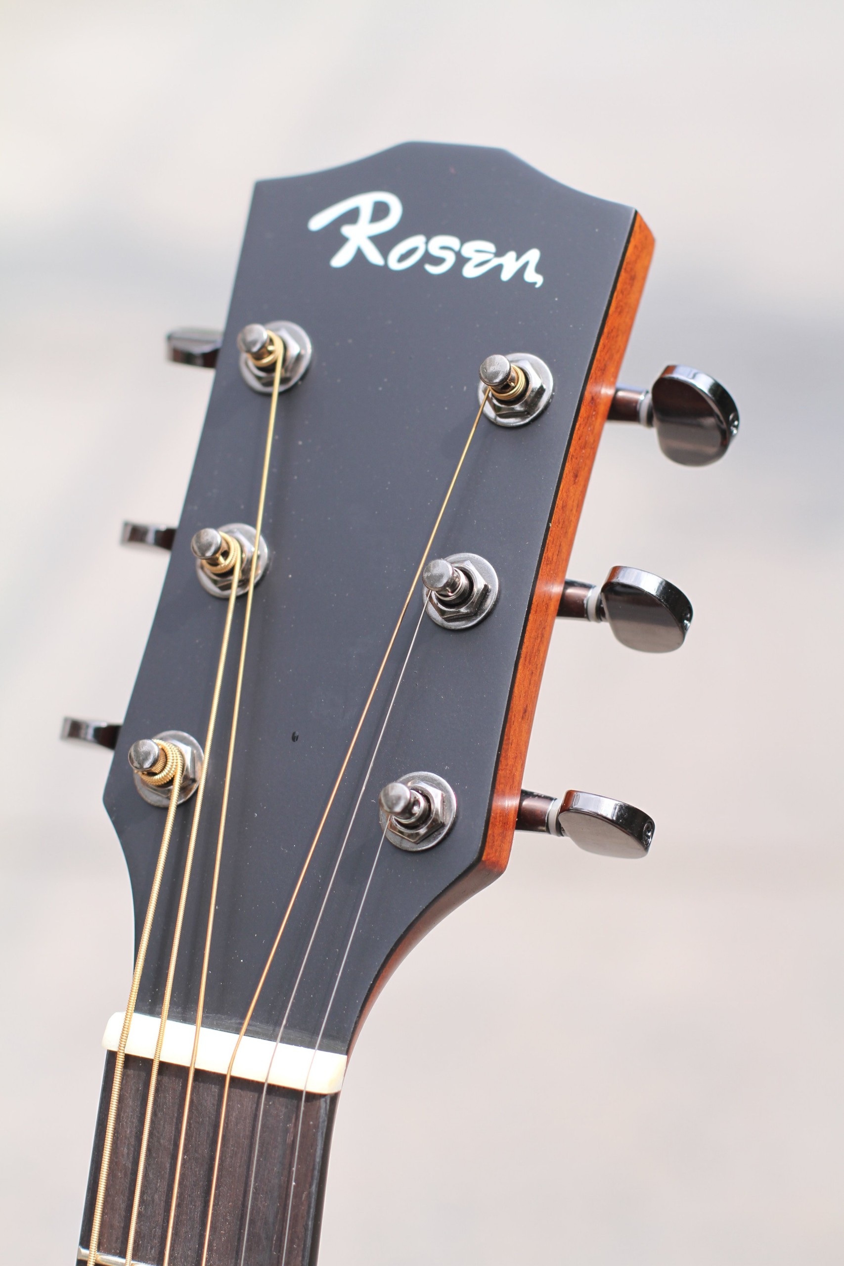 Guitar Rosen G15 nâu đỏ