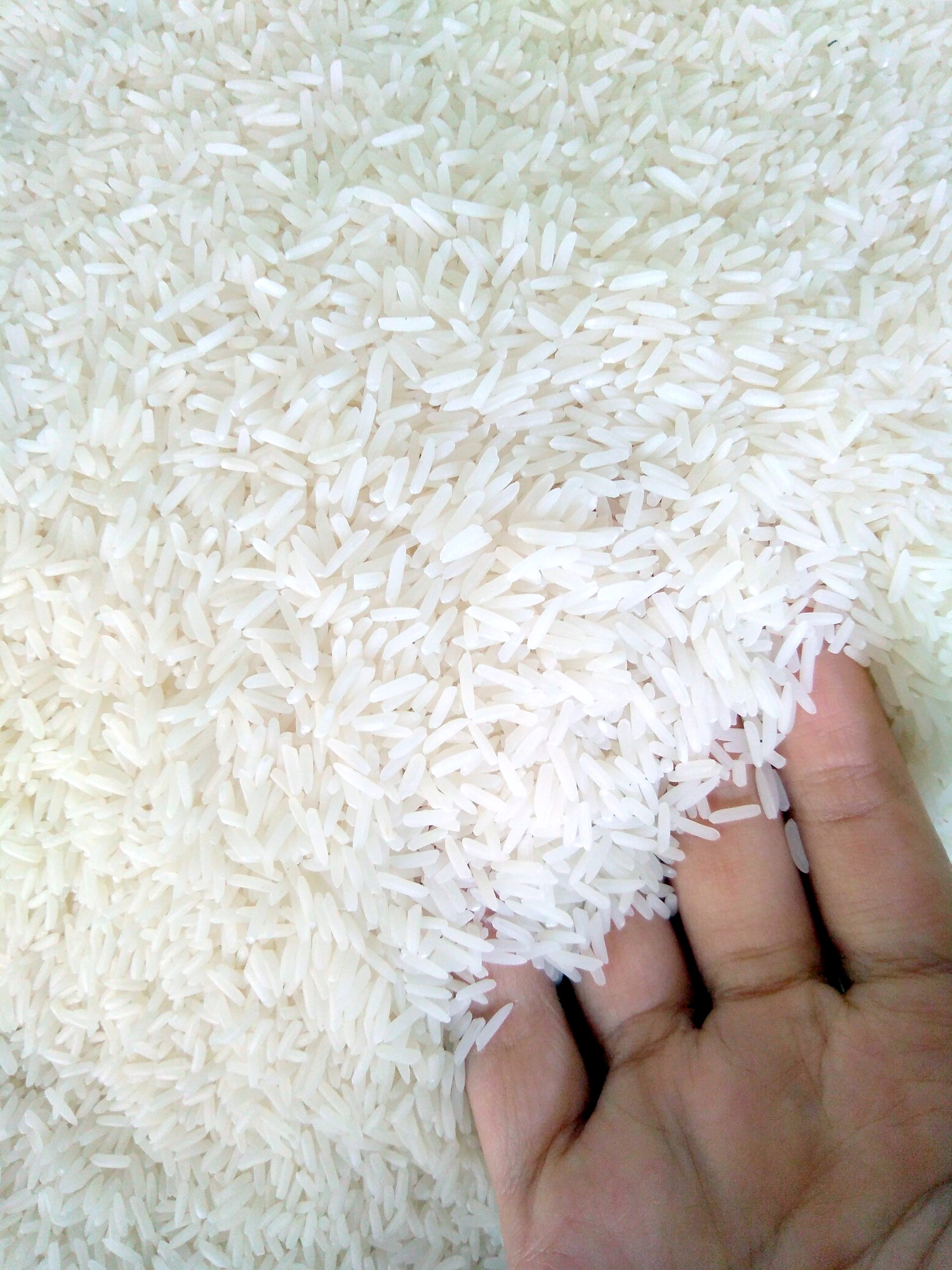[HCM]Gạo Thơm Thái Xuất Khẩu 5kg