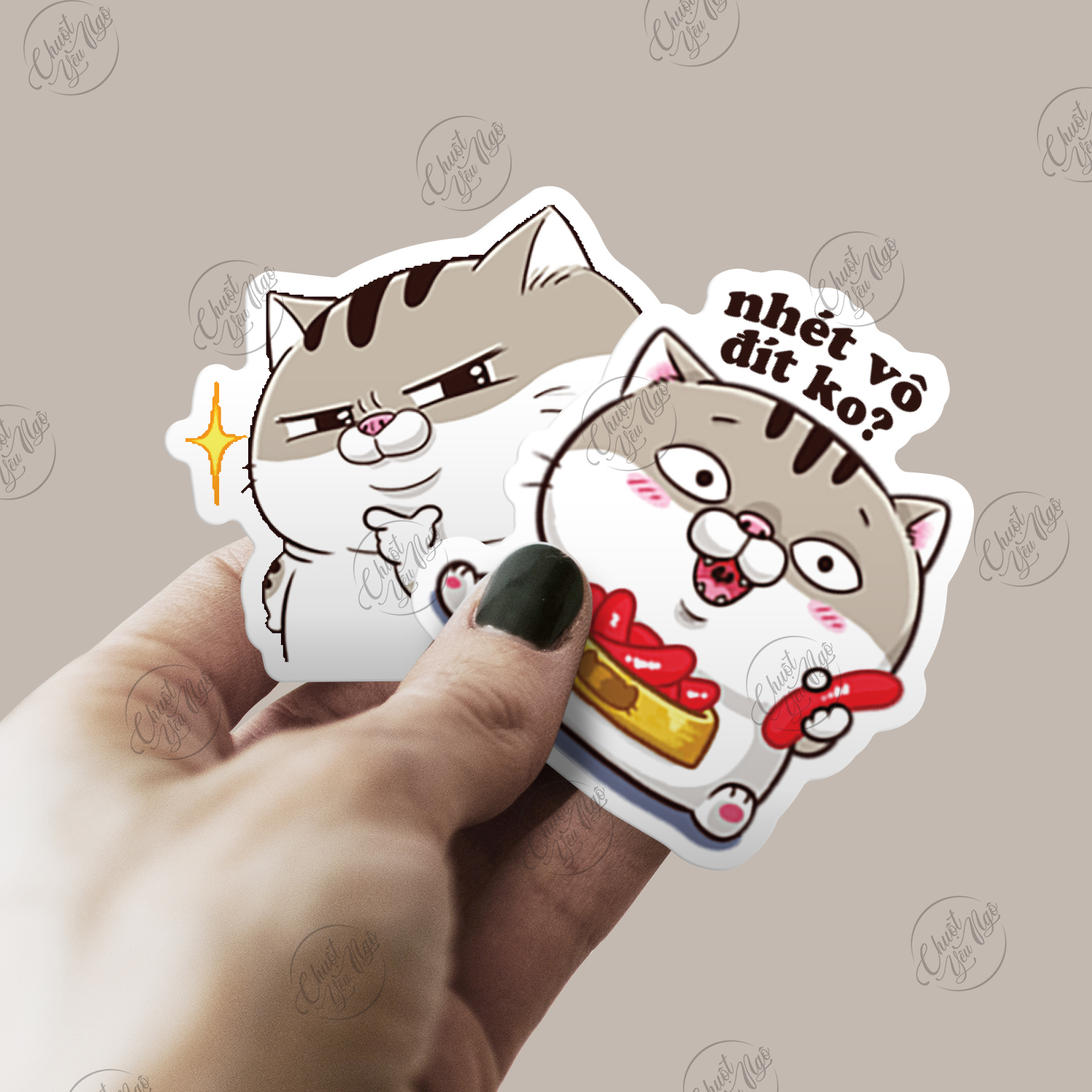 Cách tải sticker Mèo Ami bụng bự Zalo Facebook full bộ