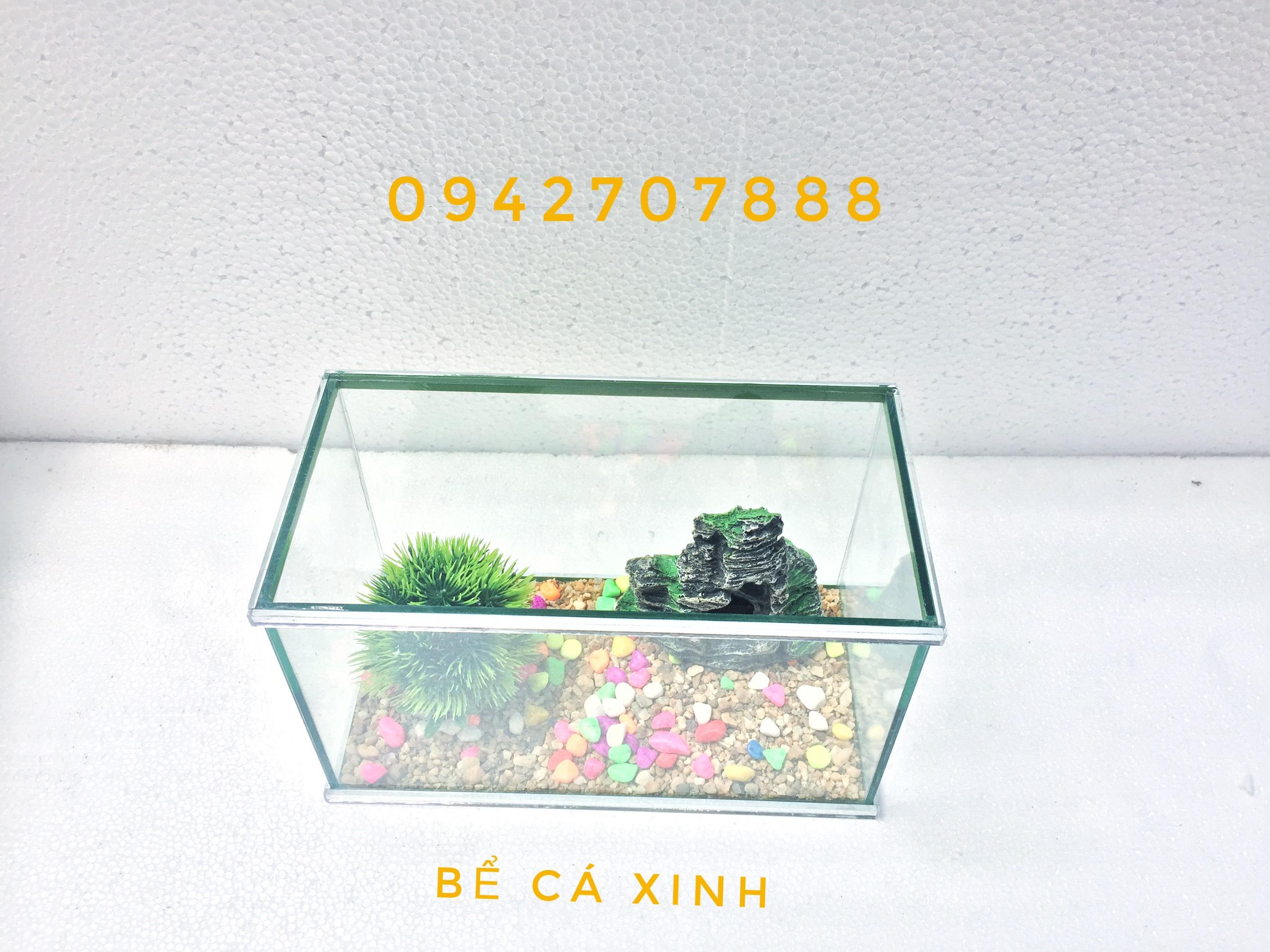 Bể cá cảnh cỡ nhỏ viền gương sang trọng - bể cá mini viền gương ( tặng sỏi và thức ăn cá)