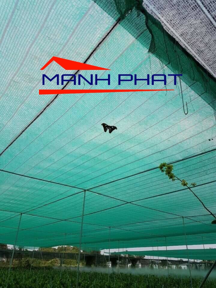 Lưới che nắng đài loan che lan  3m x 10m