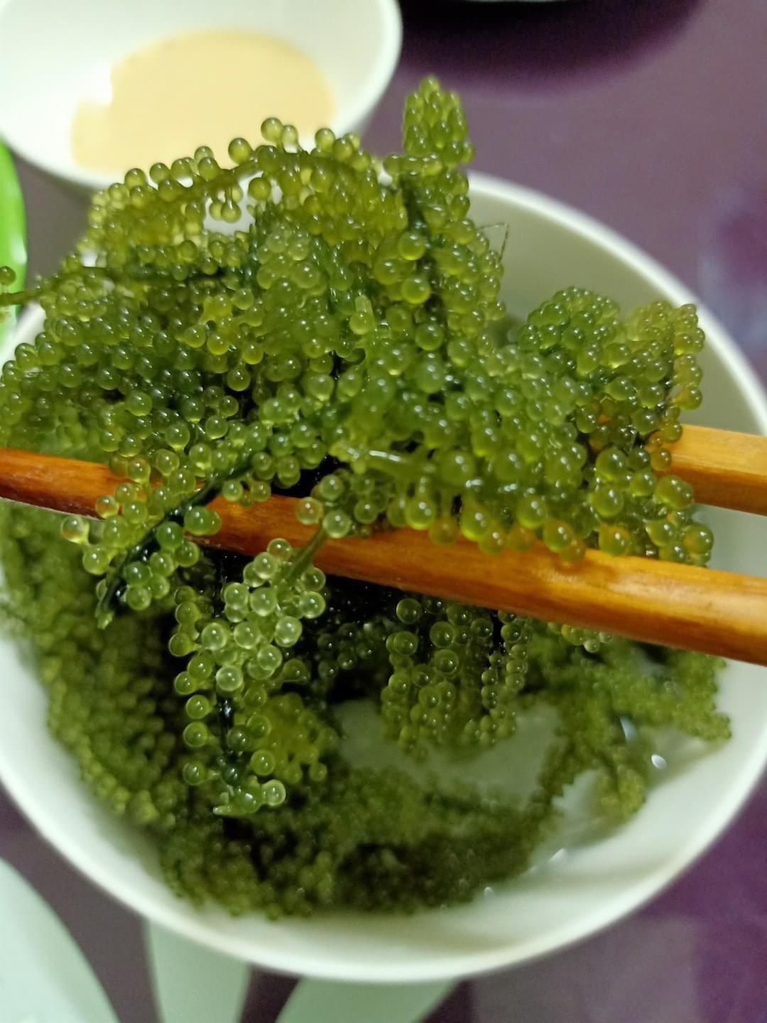 COMBO 2 GOI RONG NHO BIỂN