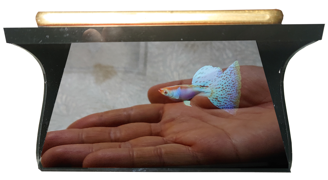 [HCM]Máy Chiếu 3D Hologram 180 độ dành cho Iphone