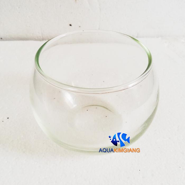 Bình cá cảnh thủy tinh tròn Đẹp