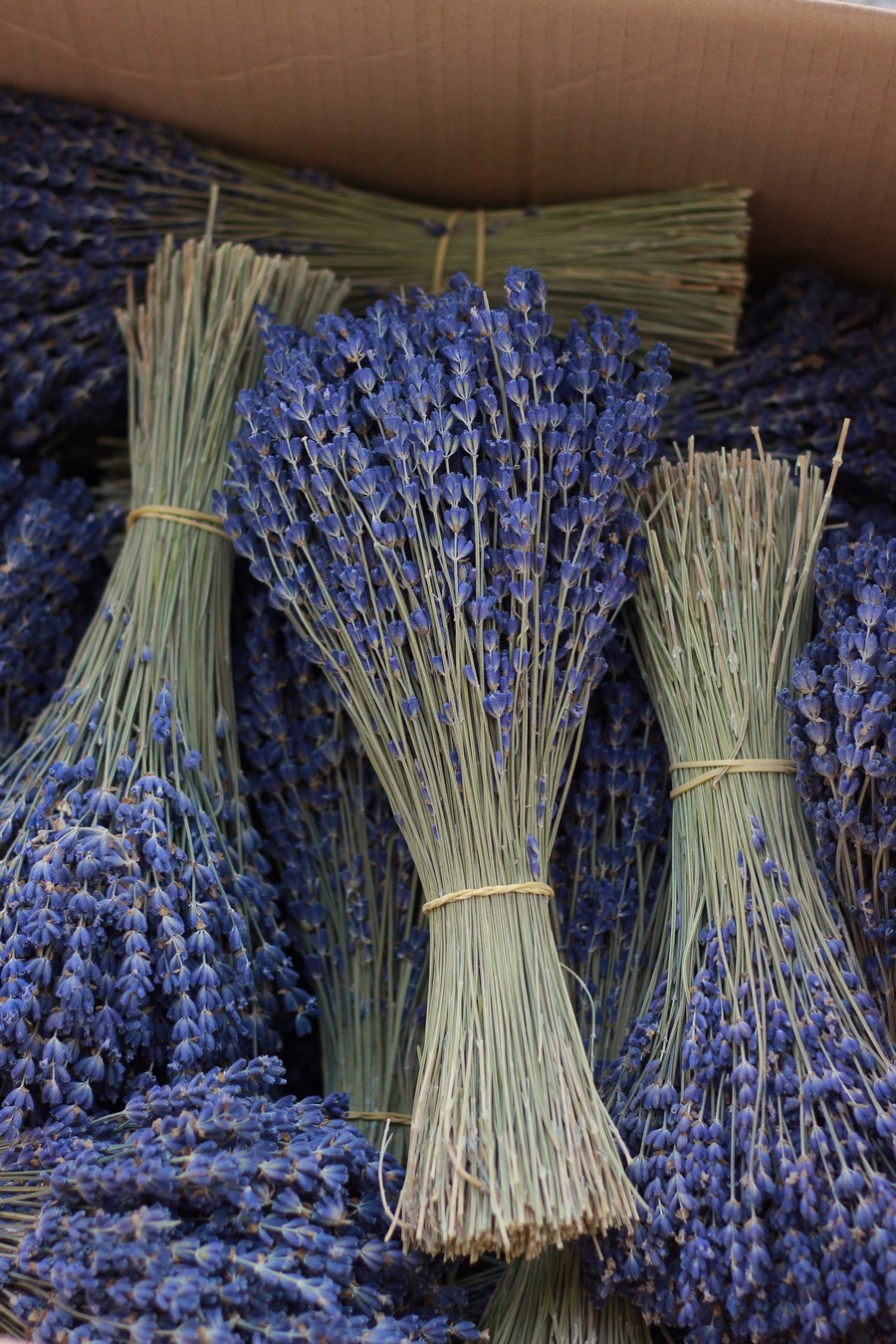Bó hoa oải hương khô (lavender khô)