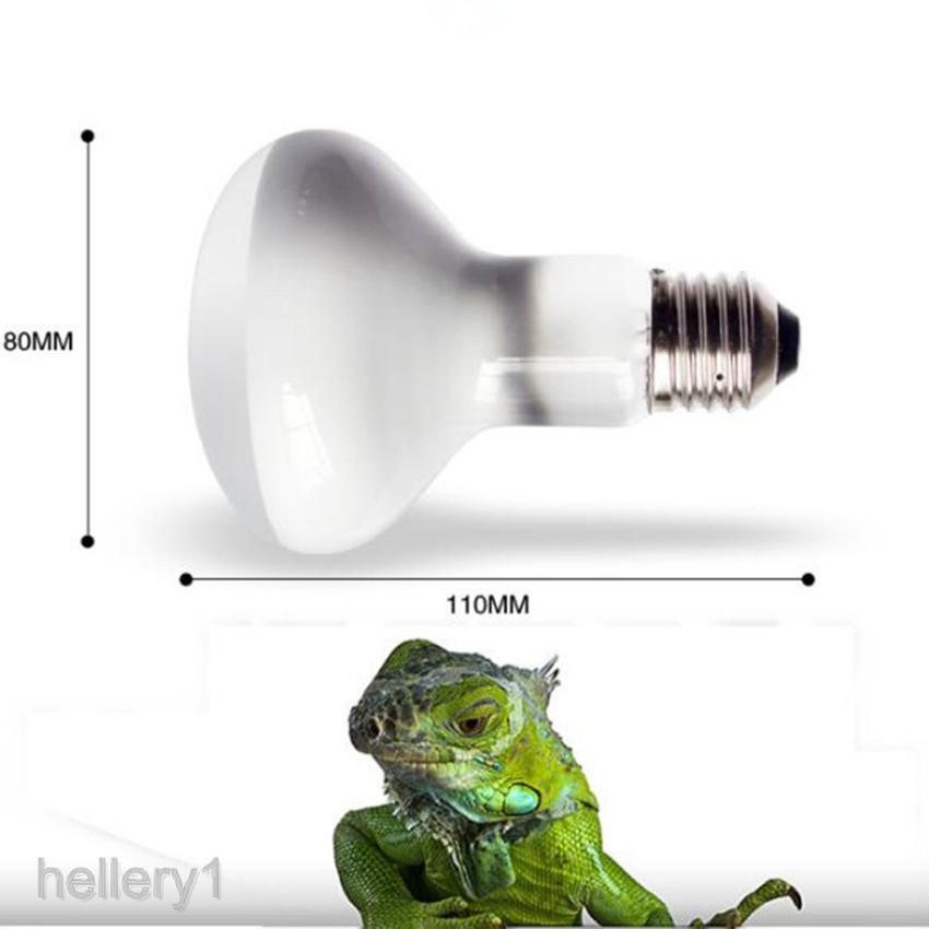 Đèn sưởi ngày cho bò sát UVA - bóng đèn cho bò sát