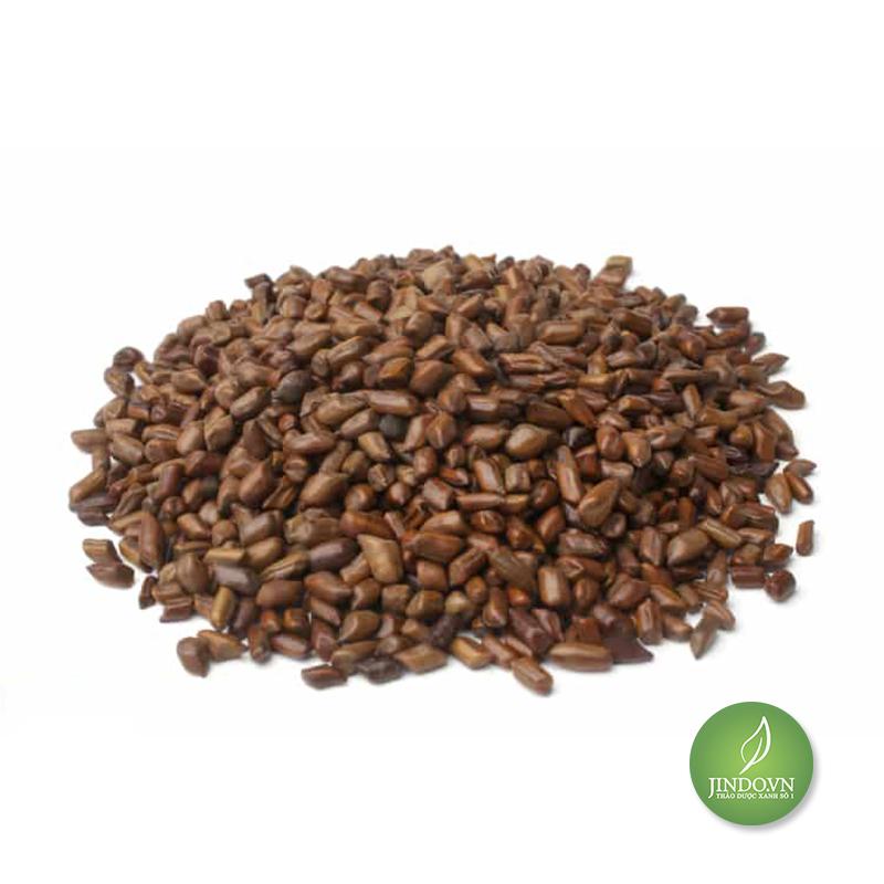 Thảo quyết minh (Hạt muồng muồng) gói 100gr thượng hạng JD130